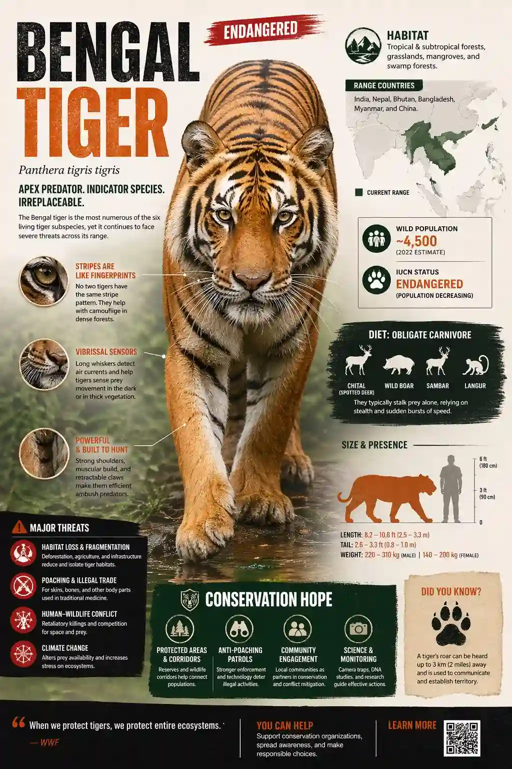 trend prompt: Create a visually rich infographic about an endangered animal. Start by finding one online, research its habitat, diet, and unique traits. Present information through annotated visuals and structured callouts, not generic sections. Style it like a bold graphic illustration: a detailed, photorealistic central animal as the focal point, supported by diagrams, callouts, and concise text elements. Use clean backgrounds and a mix of photorealism with strong graphic elements (shapes, icons, color blocking) in a layered composition. Make it dense, tactile, and professionally authored.